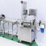 Automatic Inline Plastic Bottle Cosmetics Screw Capping Machine (YLG-C12)