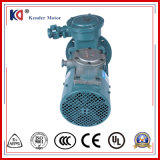 Cast Iron Frame Electrical Motor with Frequency Variable