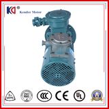 Cast Iron Frame Electrical Motor with Frequency Variable