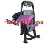 Body Building Fitness Equipment-Biceps Machine (HK-1004)