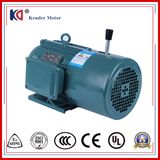 Yej Series Iron AC Brake Electrical Motor