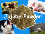 Jujube Powder for Animal Feed