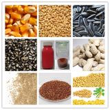 Seed Dressing Pesticide Imidacloprid10%+Chlorpyrifos25%+Thiram25%WS