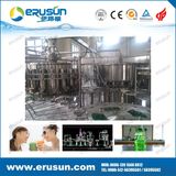 Fruit Juice with Fruit Meat Processing Plant