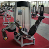 Seated Leg Curl Gym Equipment / Fitness Equipment From China Olympic Team Supplier