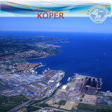 LCL Warehousing & Shipment From China to Koper by Carrier EMC