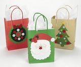 Christmas Paper Gift Bag (Fp900100)