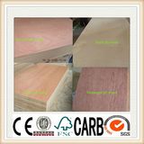 15mm Commercial Plywood for Furniture (bintangor, Okoume, Birch, etc.)