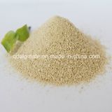 High Quality Sodium Alginate Textile Grade