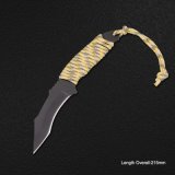 Fixed-Blade Knife (#3911)