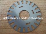 High Speed Rotor Lamination Sheet for Electronic Motor (40mm)