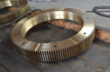 Copper Ring Gear