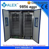 Big Chicken Egg Incubator Made in China