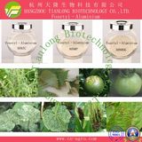 Good Quality Herbicides Fostyl Aluminum (95%TC, 80%WP, 80%WDG)