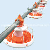 Poultry Feeding System for Broiler