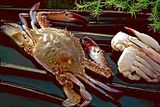 Crab