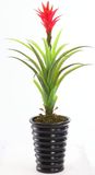 0029 New Products Design Export Tree ---SGS Products