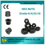 Hub Bolt and Hex Nuts