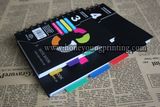 Double Wire Classmate PP Spiral Notebook