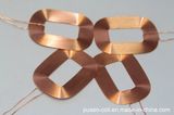 Coil