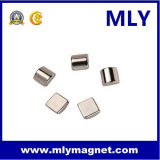 Magnetic Material Permanent NdFeB Rare Earth Neodymium Magnet (MLY098)