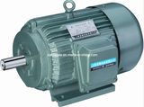 Three-Phase Electric AC Motor