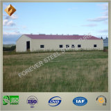 Agricultural Prefab Steel Structure Storage