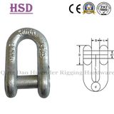 JIS Type D Shackle, Fastener, Hardware, Rigging, Anchor Shackl, European D Type, Us Type Forged, Marine Hardware