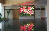 P4 Indoor Full Color LED Display/LED Display