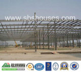 China Prefabricated/Large Span Steel Structure Homes/Building
