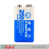 Marketable Green Rechargeable 9V Ni-MH Battery (VIP-9V250)
