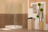 Caml 1200*800 Rectangle Hinge Shower Enclosure/Shower Door/Shower Room (CPM109)