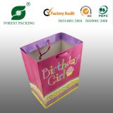 Portable Paper Bags (FP900029)