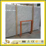 Carrara White Marble for Countertop or Flooring Decoration