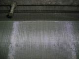 Stainless Steel Wire Netting