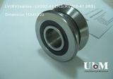 Guide Bearing, V Groove Guide Bearing