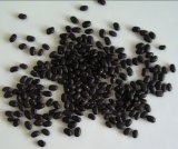Small Black Beans (007)