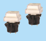 DIP Switches (KF1004)