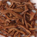 Dried Suillus Granulatus