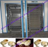 Automatic Egg Incubation Duck, Goose, Ostrich Quail Chicken Egg Incubator