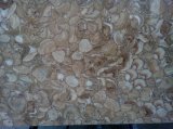 Nature Petrify Wood Mosaic Slabs Countertops Wall Decoration