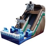 2013 Inflatable Slide (T3-316)