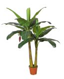Artificial Plants and Flowers of Banana Tree 21lvs Gu-Bj-772-21-2-1s