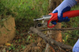 Koham Tools Vine Branches Power Pruning Shears