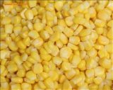 Export of High Quality IQF Corn