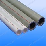 PPR Pipe (PN20)