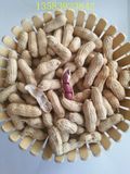 Roasted Red Skin Peanut in Shell