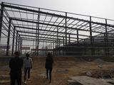 Professional Design Steel Structure Warehouse Shed Building