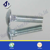 Carriage Bolt with Fully Thread