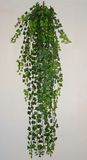 Artificial Ivy